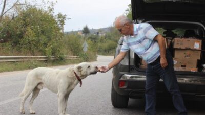 Uludağ’daki aç hayvanların babasından duygusal veda