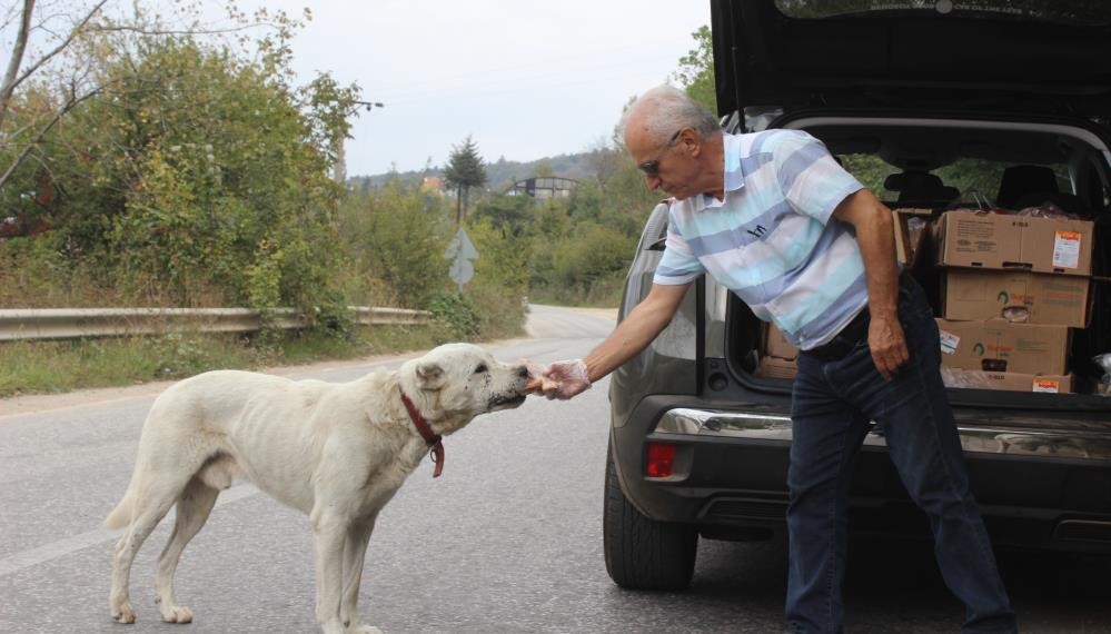 Uludağ’daki aç hayvanların babasından duygusal veda