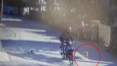 Yer: Bursa… Köpekten kaçarken…