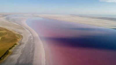 Uzmanlar süre verdi! Tamamen yok olabilir…