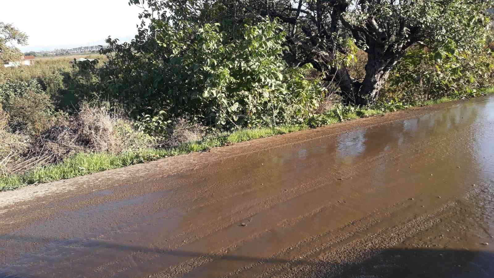 Bursa’da isyan ettiren olay! Yoldan dere gibi gübre akıyor