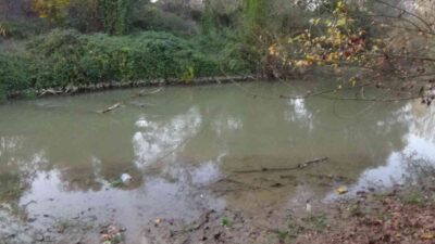 Bursa’da derede ceset bulundu