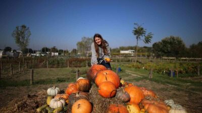 Bursa’da üretilen farklı tür kabakların yaygınlaşması hedefleniyor