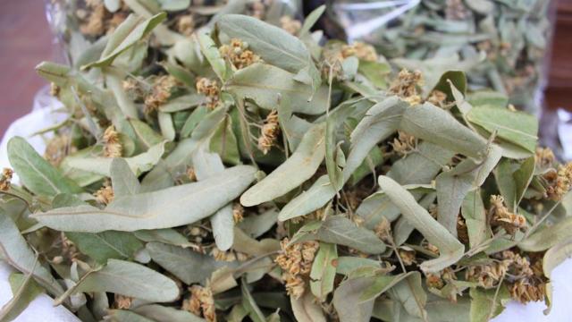 Kış aylarının vazgeçilmezi! 400 liradan tezgahta