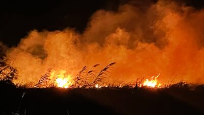 Bursa’da yangın! 20 dönüm alan kül oldu