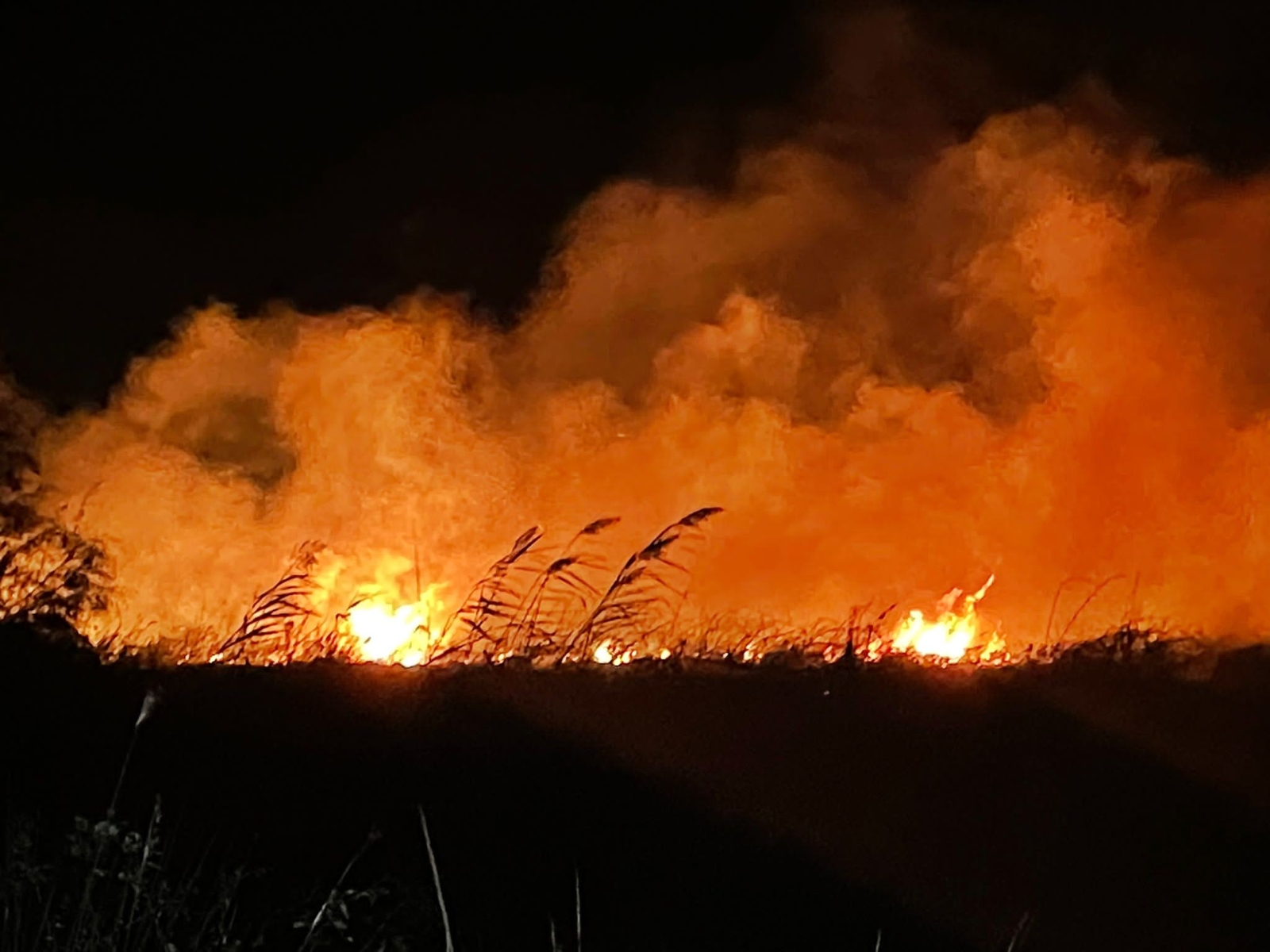 Bursa’da yangın! 20 dönüm alan kül oldu