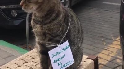 Bursa’da güldüren olay!