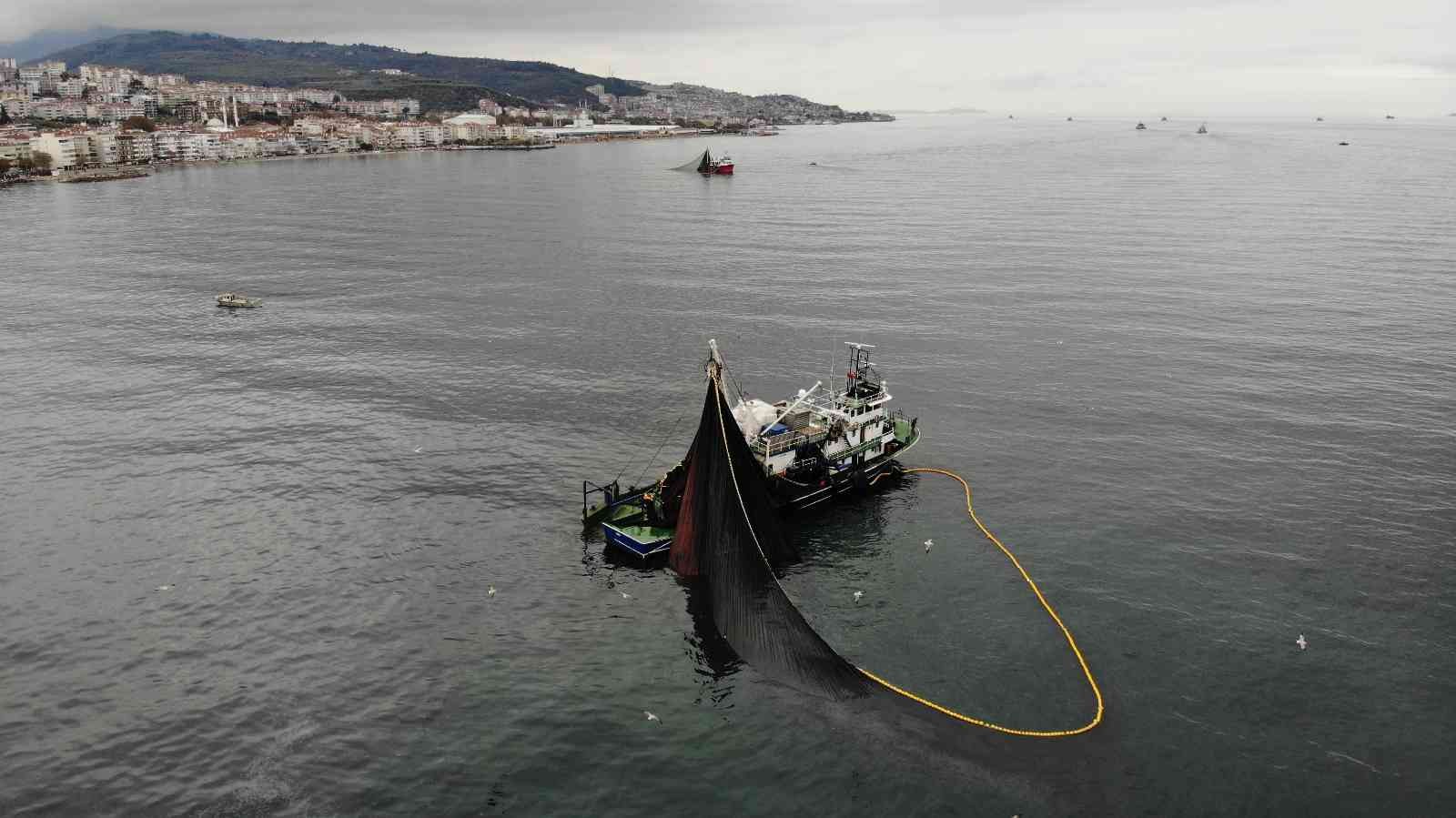Gemlik Körfezi’ne giren 600 ton hamsiyi saatler içinde yakaladılar