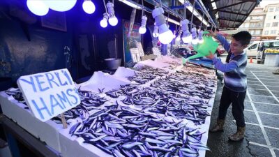 Tezgahlarda hamsi ve istavrit bolluğu