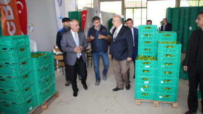 Bursa’da günde 3 ton giden ürün! 4 liradan alıp 5 liradan satıyoruz…