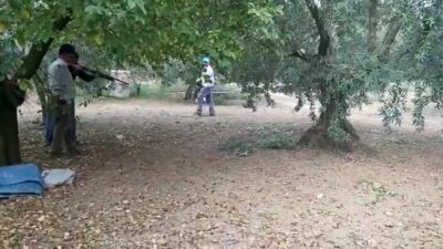 Bursa’da zeytin toplarken hayatının şokunu yaşadı!