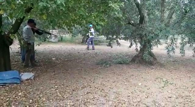 Bursa’da zeytin toplarken hayatının şokunu yaşadı!