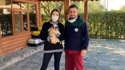 Can dost sıcak yuvaya kavuşturuldu