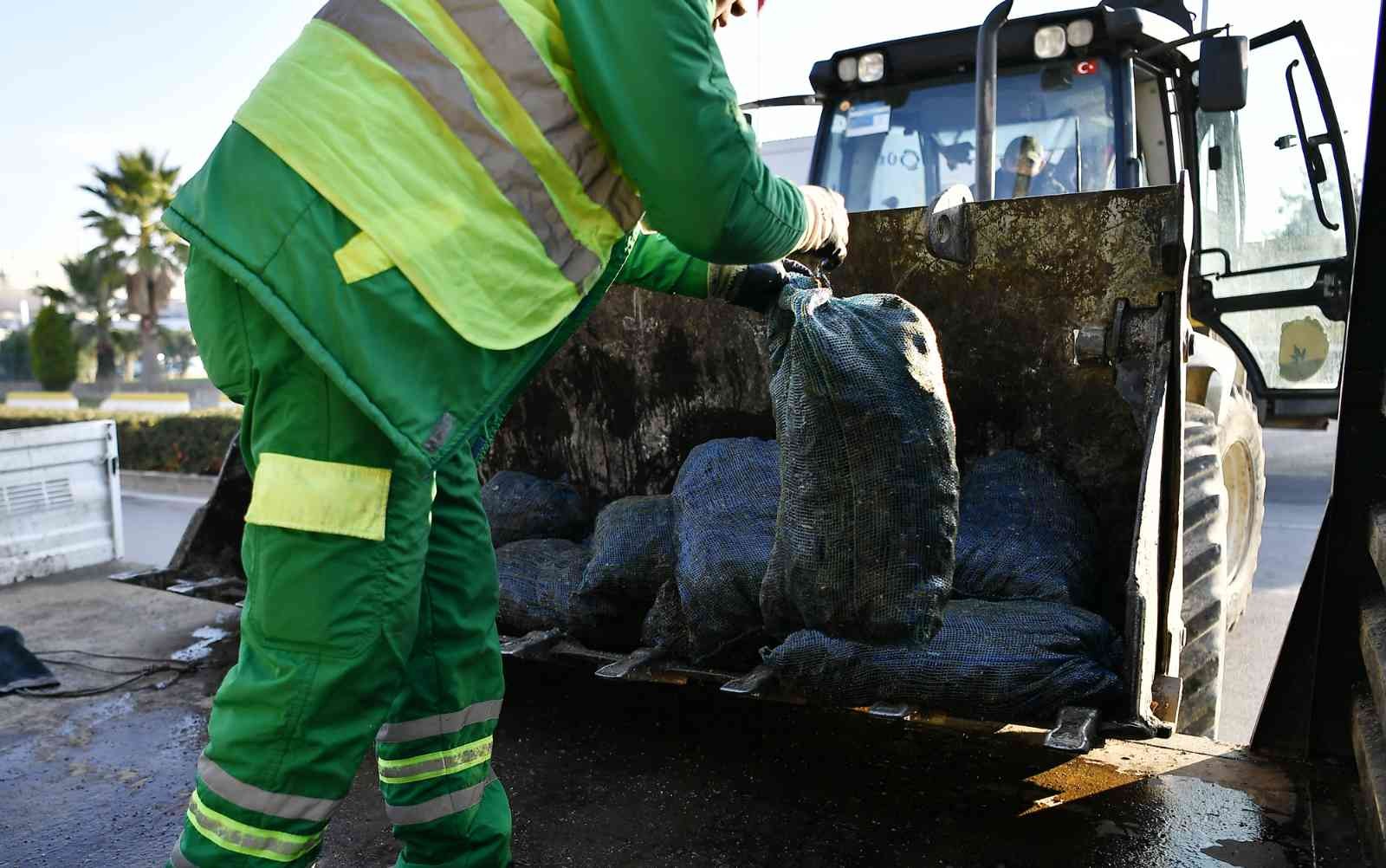 2 ton sağlıksız midye çöpe döküldü 2 ton sağlıksız midye çöpe döküldü