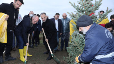 Bursa’da 40 bin öğretmene 40 bin fidan