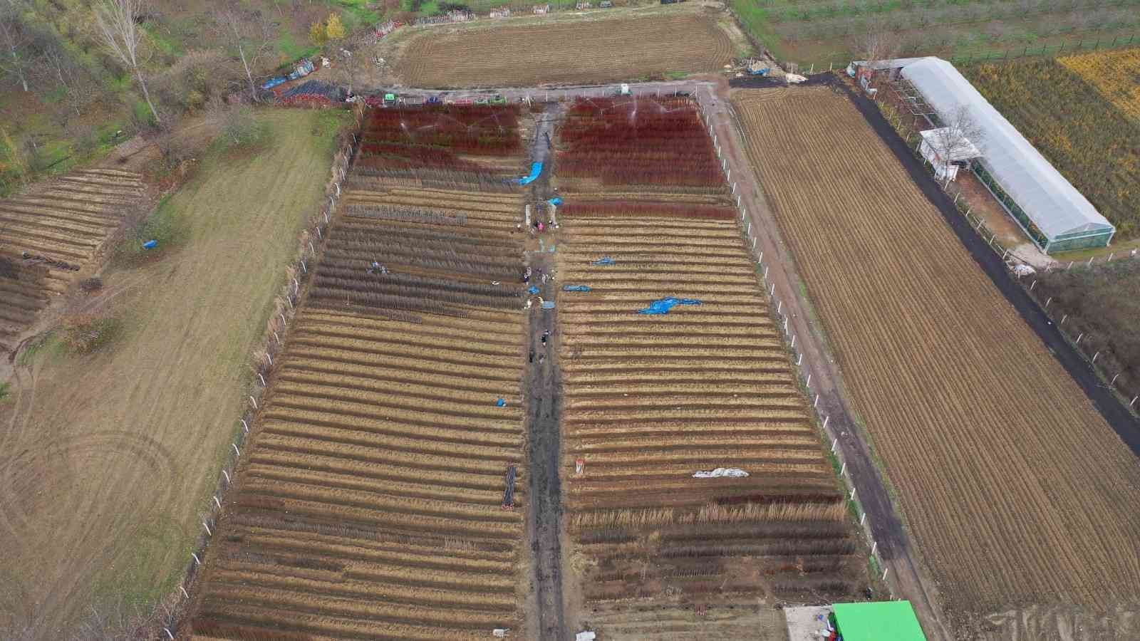 9 ülkeye ihraç ediliyor! Bursa Türkiye lideri