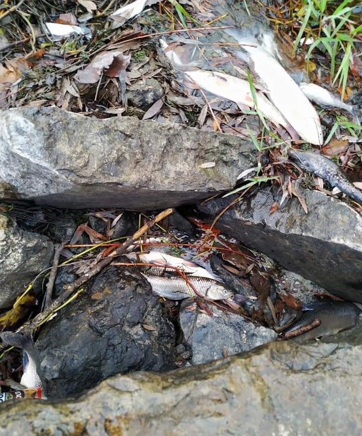 Bursa’da korkutan görüntü! Bursa’da korkutan görüntü!