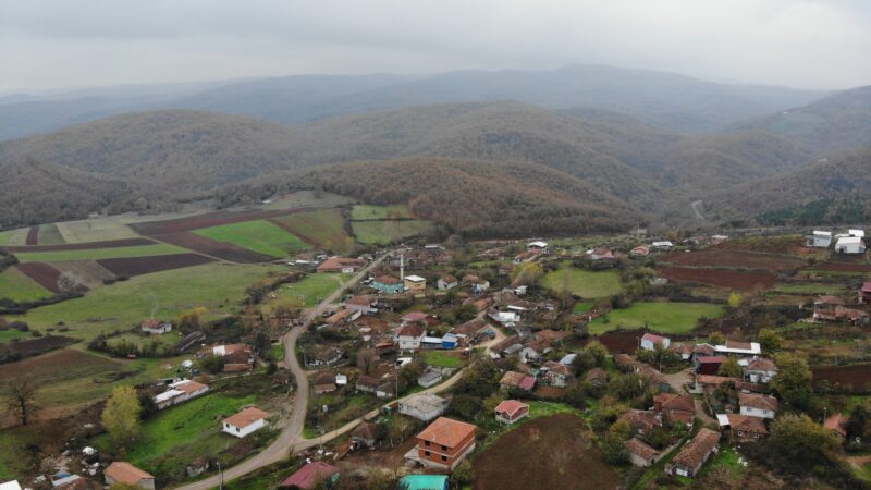 Bursa’da bu köy korku içinde! ‘2 yıldır gözükmeye başladı’ Bursa'da köye kadar gelip koyunları telef eden ve köpekleri yaralayan
