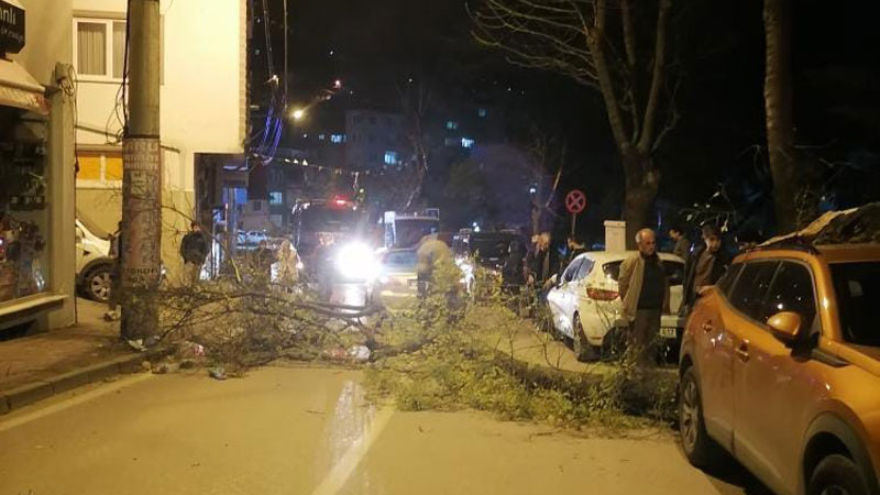 Bursa’da lodos hayatı felç etti Bursa’da lodos hayatı felç etti