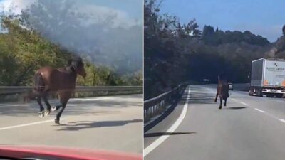 Bursa’da ‘dört nala’ kaçış! Araçlarla yarıştı