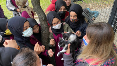 Bursa’da barınağa hayvan sever akını