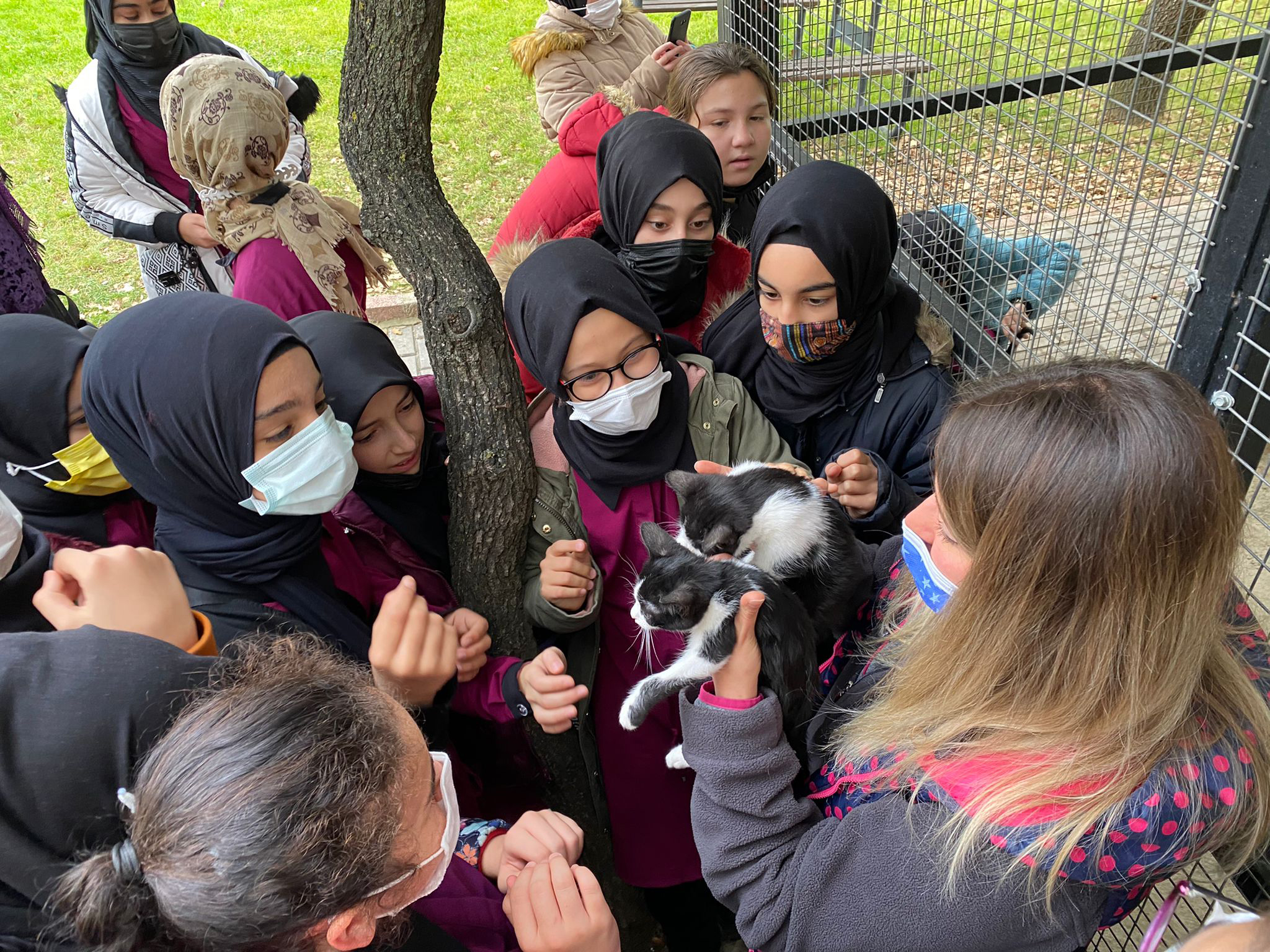 Bursa’da barınağa hayvan sever akını