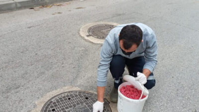 Osmangazi’de haşerelere geçit yok