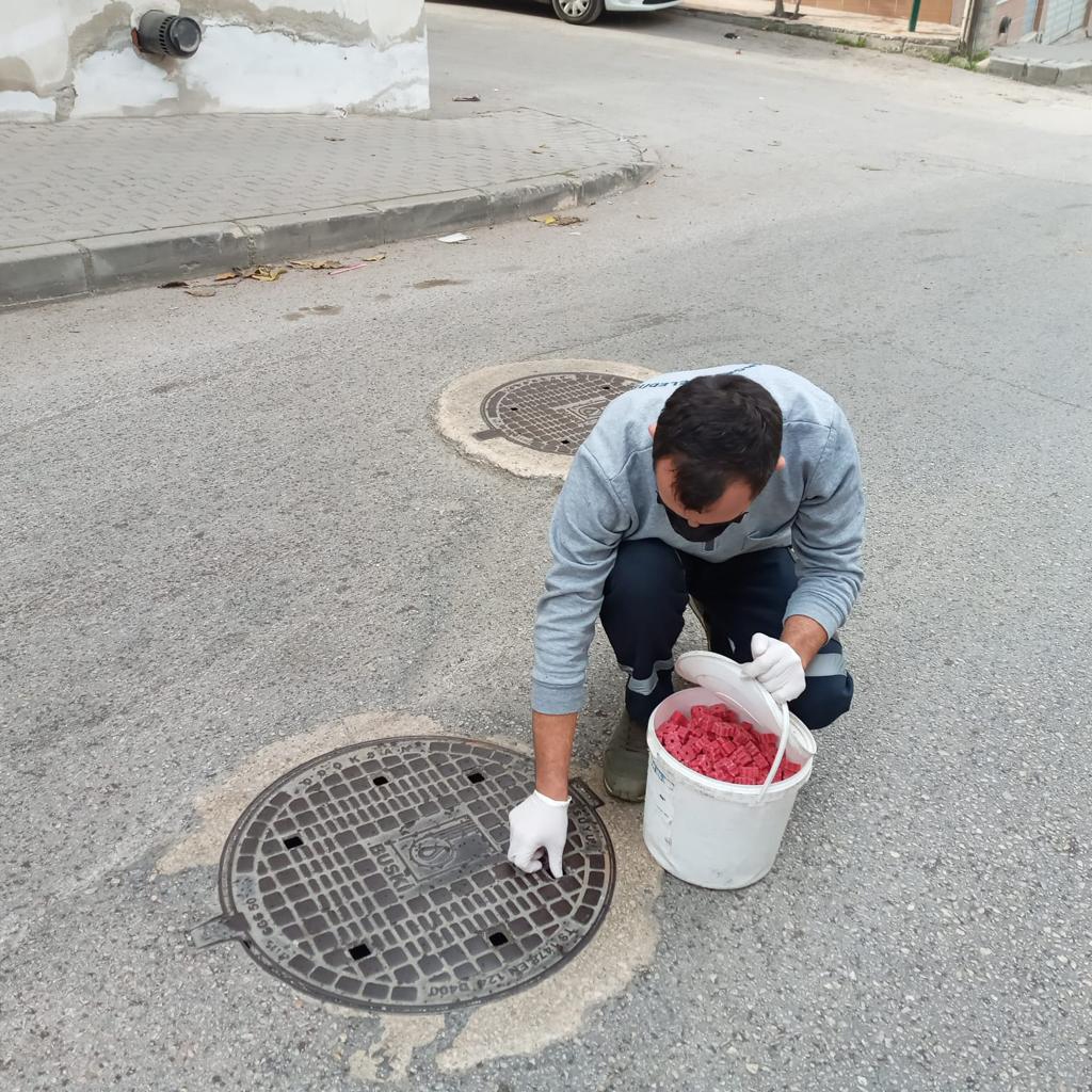 Osmangazi’de haşerelere geçit yok Osmangazi’de haşerelere geçit yok