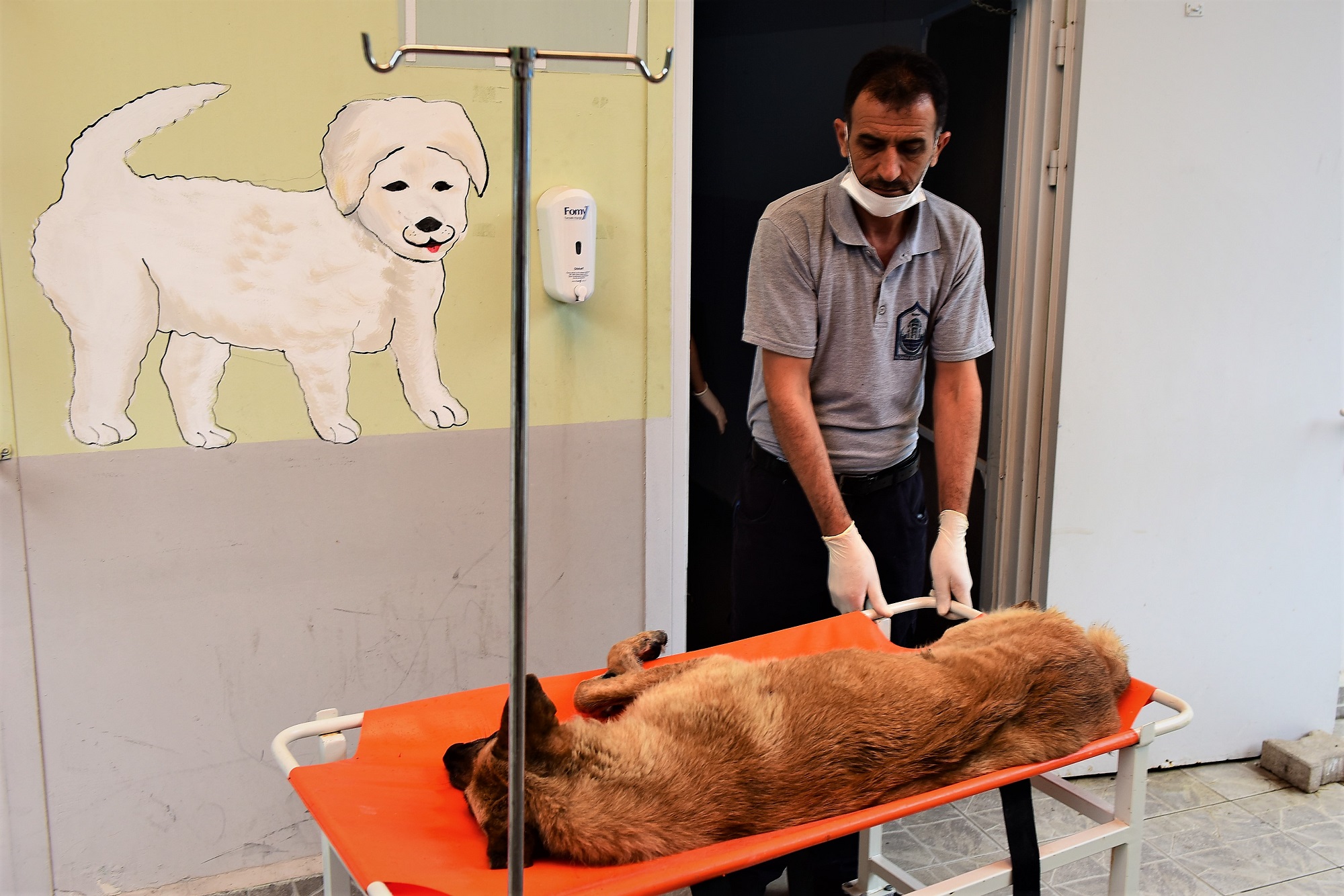 Yıldırım’ın sessiz sakinleri güvende