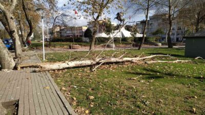 Belediye ekiplerinden lodos yıkıntılarına anında müdahale