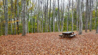 Bursa, Kasım’da başka güzel