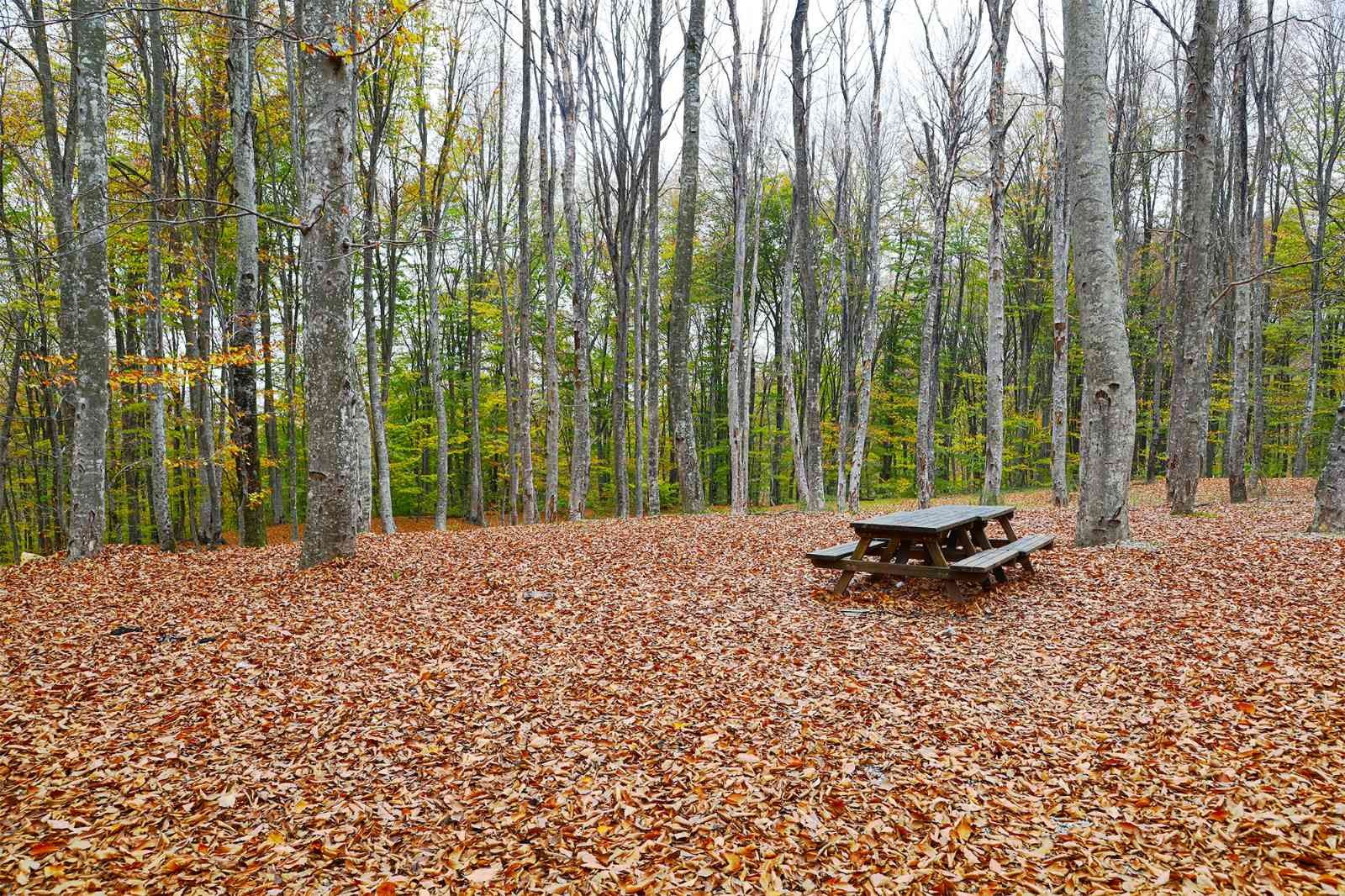 Bursa, Kasım’da başka güzel