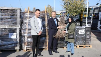 Bursa’da 1 milyon adet dağıtıldı! Yüzde 50’si hibe destekli…