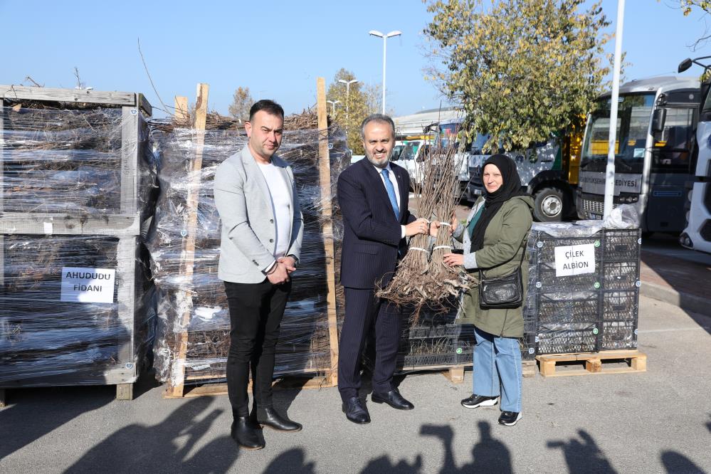 Bursa’da 1 milyon adet dağıtıldı! Yüzde 50’si hibe destekli…