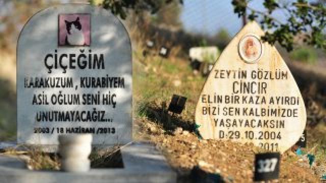 Bursa’daki evcil hayvanların mezar taşlarında duygulandıran yazılar