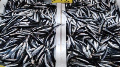 Hamsinin fiyatı neden cep yakıyor? Bakın ucuzunu kimler tüketiyor!