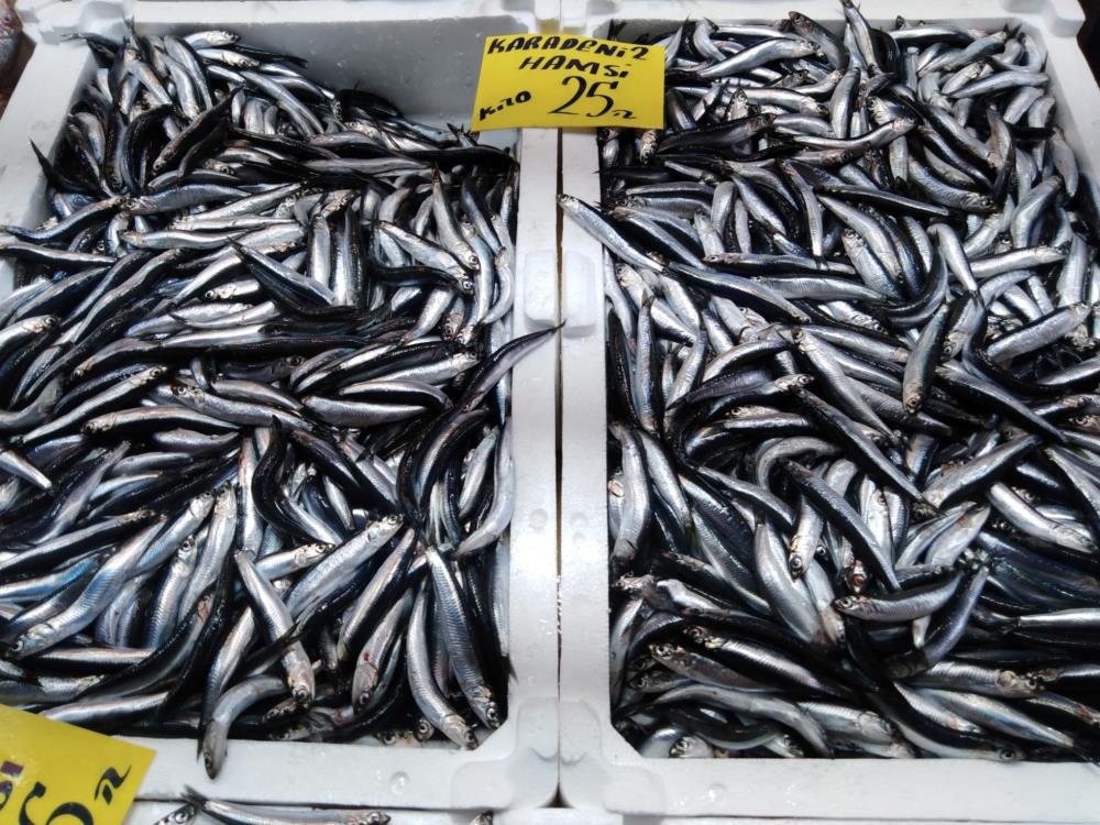 Hamsinin fiyatı neden cep yakıyor? Bakın ucuzunu kimler tüketiyor!