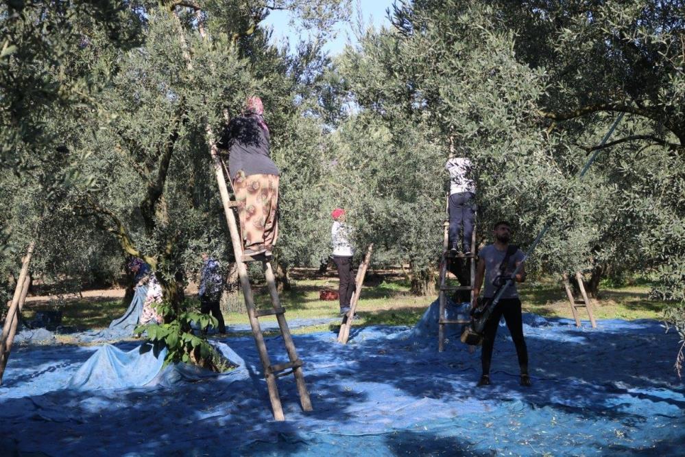 Marmarabirlik açıkladı; Bugün ödenecek!