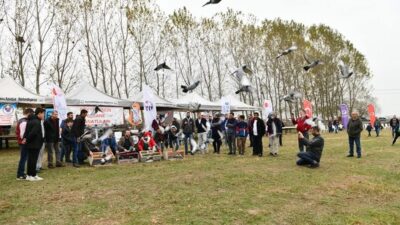 Mustafakemalpaşa’da Güvercin Uçuş Festivali
