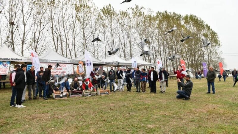 Mustafakemalpaşa’da Güvercin Uçuş Festivali Mustafakemalpaşa’da bu yıl 3.’sü düzenlenen ‘EFU Uluslararası Seyyar Mobil Güvercin