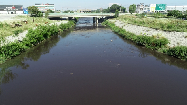 Bursa’da bu dere hani temiz akacaktı? Bir mahallenin kabusu oldu! Bursa’da bu dere hani temiz akacaktı? Bir mahallenin kabusu oldu!