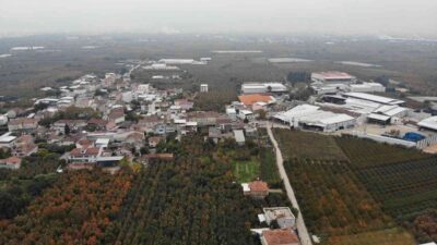 Bursa’dan dünyaya açılan ürün! Futbol topu gibi…