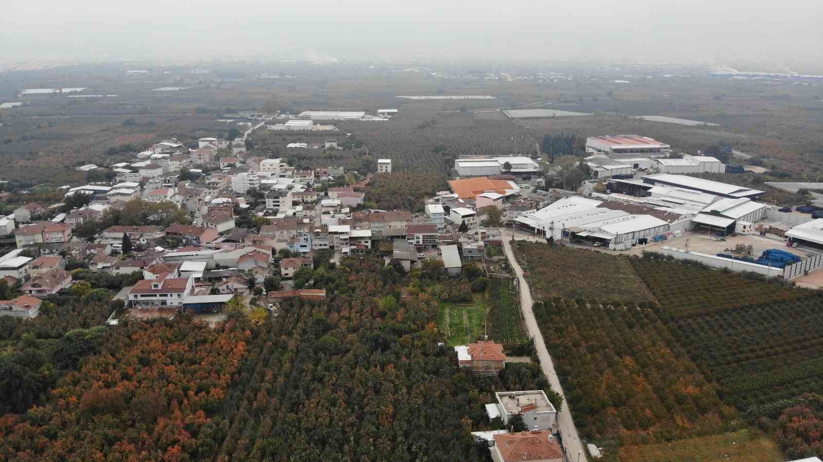 Bursa’dan dünyaya açılan ürün! Futbol topu gibi…