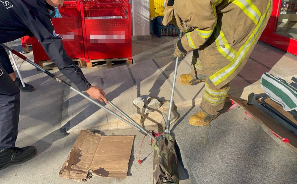 Bursa’da markette yılan şoku!