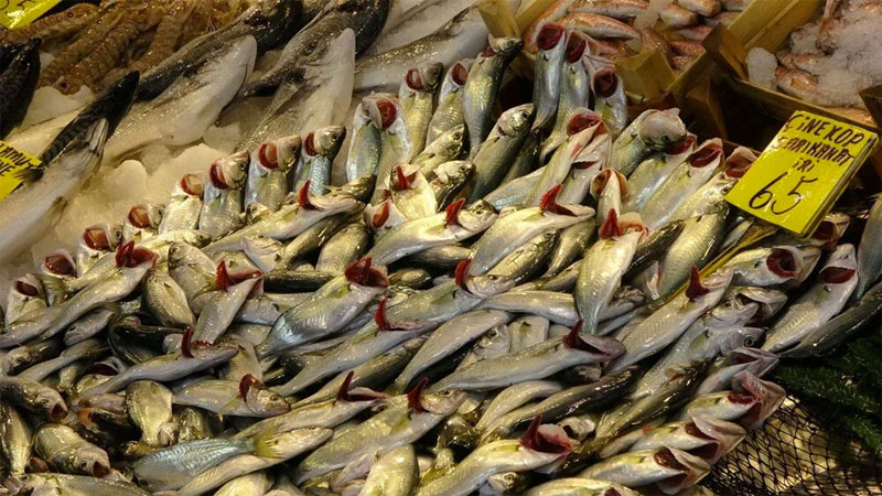 Kar yağınca fiyatı 65 liraya geriledi