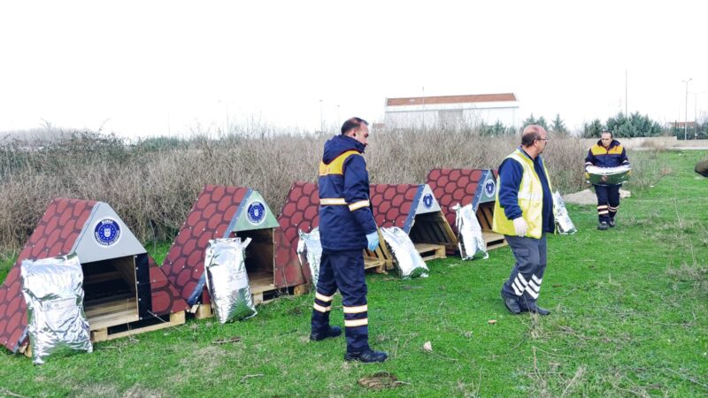 Bursa’nın 17 ilçesinde sahipsiz sokak hayvanlarına ‘beslenmeden sağlıklı barınak teminine