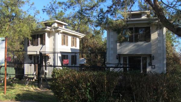 Bursa’da engelli kedilere villa