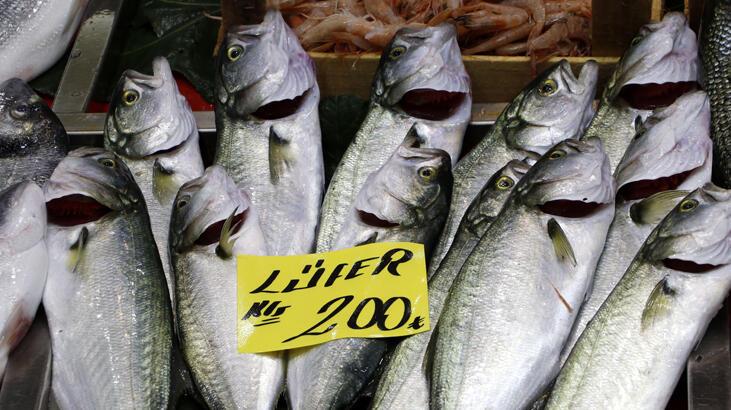 Lodos nedeniyle lüferin fiyatı 200 liraya çıktı