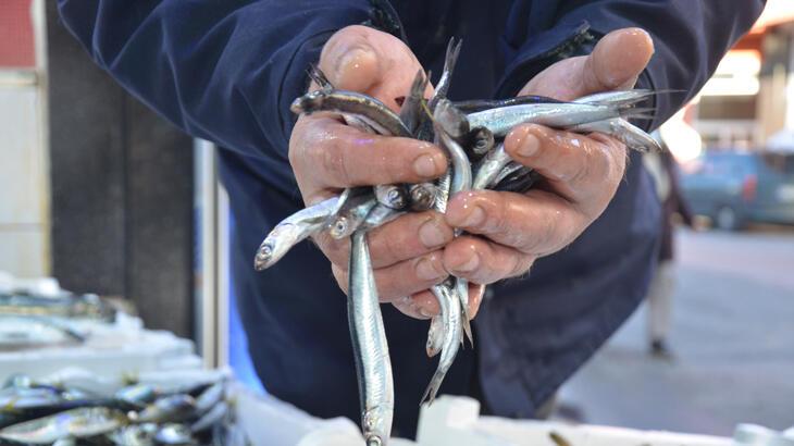Fırtına balıkçıları vurdu, fiyatlar ikiye katlandı!