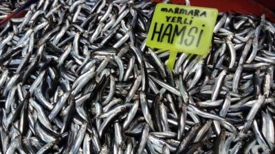 Balık az gelince fiyatlar yükseldi